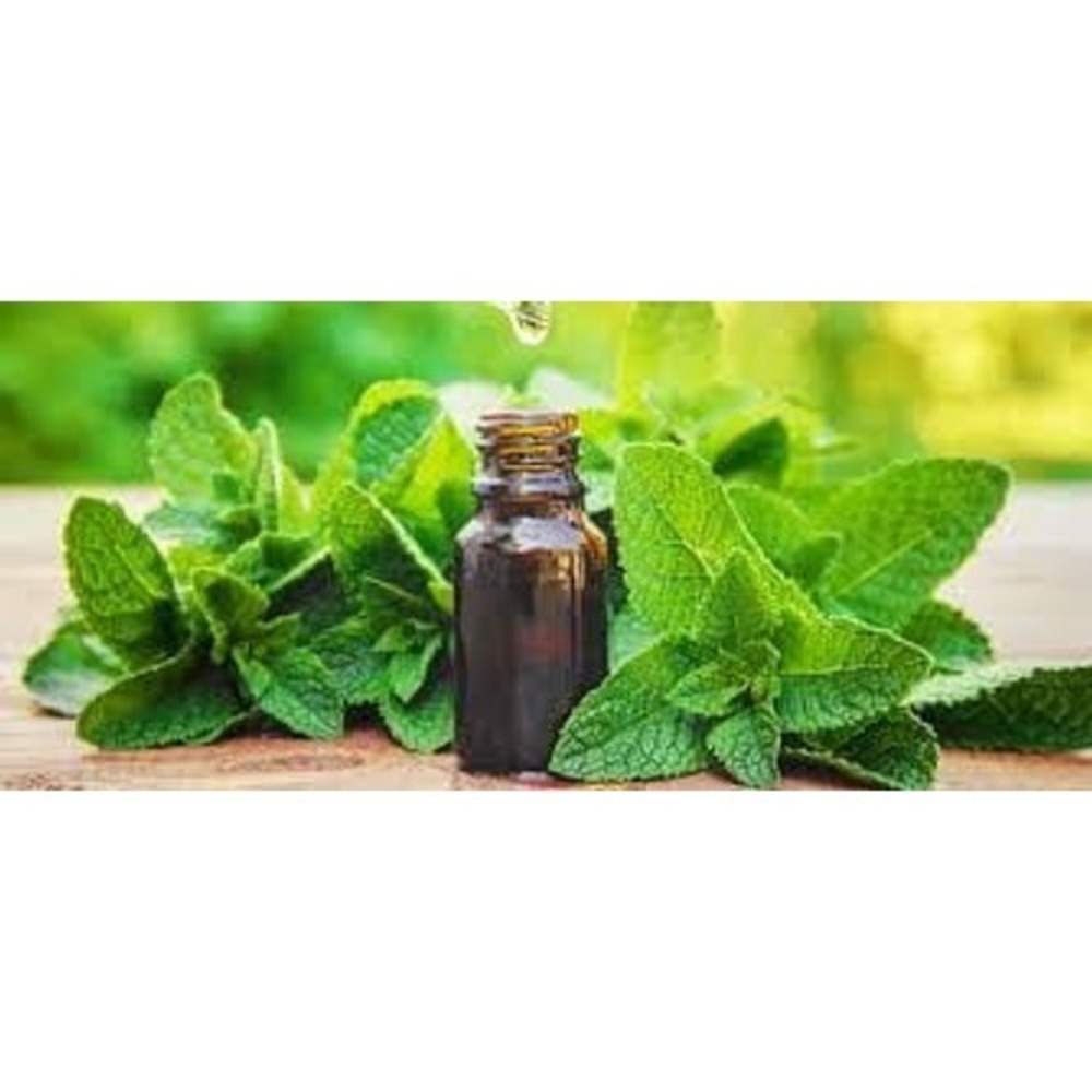 Natural Mint‎ Oil